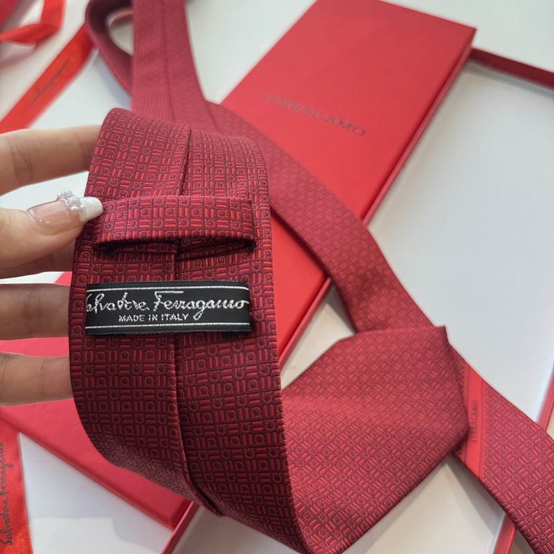 Ferragamo Tie hm (37)