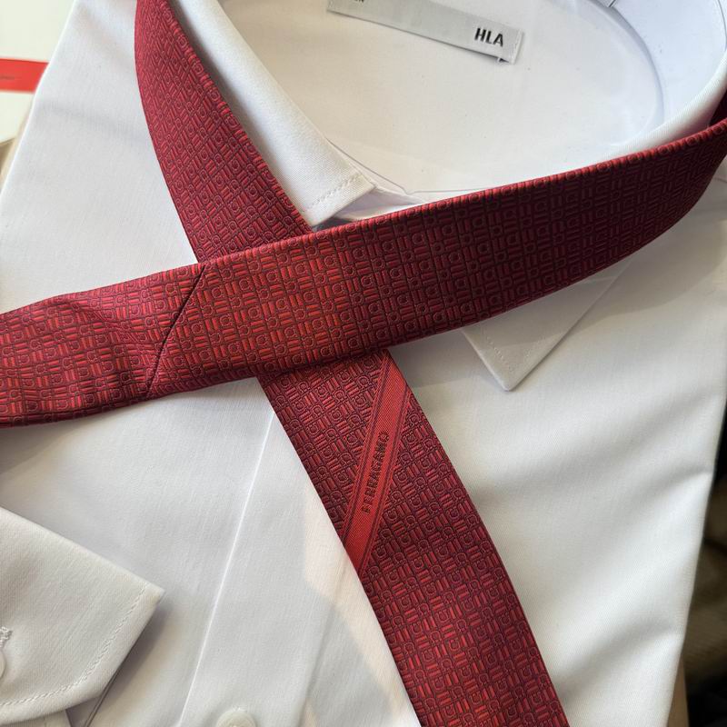 Ferragamo Tie hm (41)