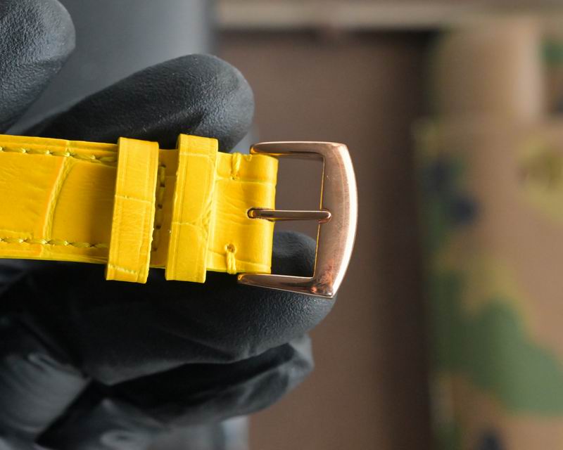 Franck Muller watch 12 (12)