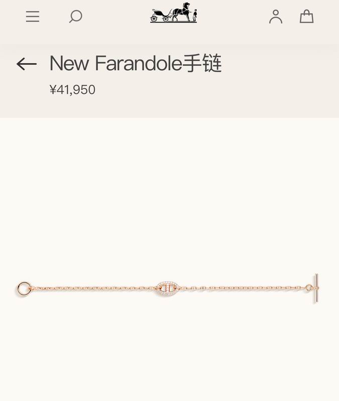 Hermes Bracelet 10yxq03 (1)