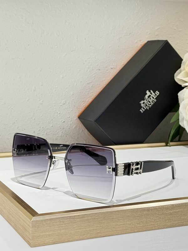 Hermes Glasses smr (105)