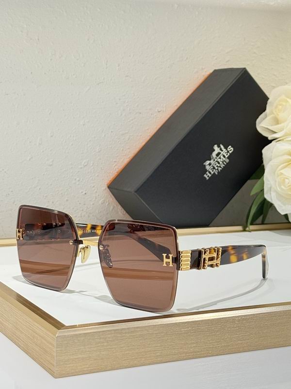 Hermes Glasses smr (106)