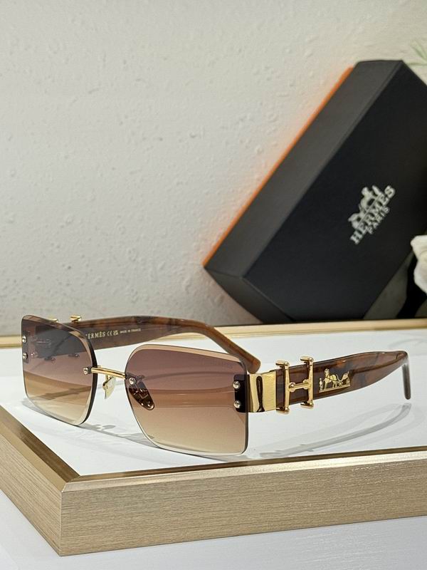 Hermes Glasses smr (113)