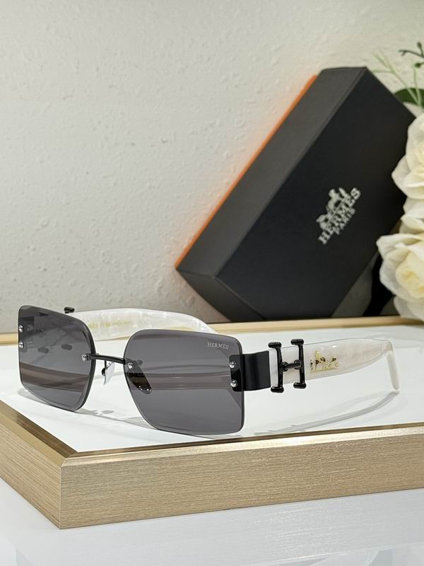 Hermes Glasses smr (114)
