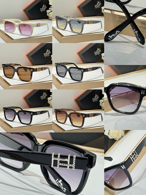 Hermes Glasses smr (121)