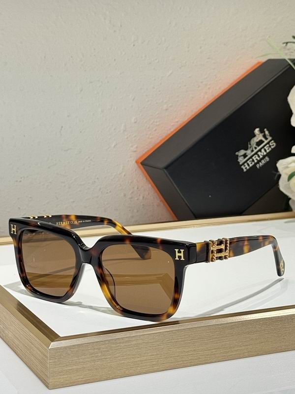 Hermes Glasses smr (123)