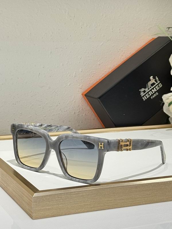 Hermes Glasses smr (124)