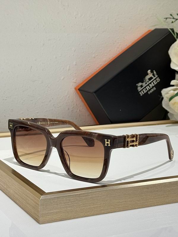 Hermes Glasses smr (126)