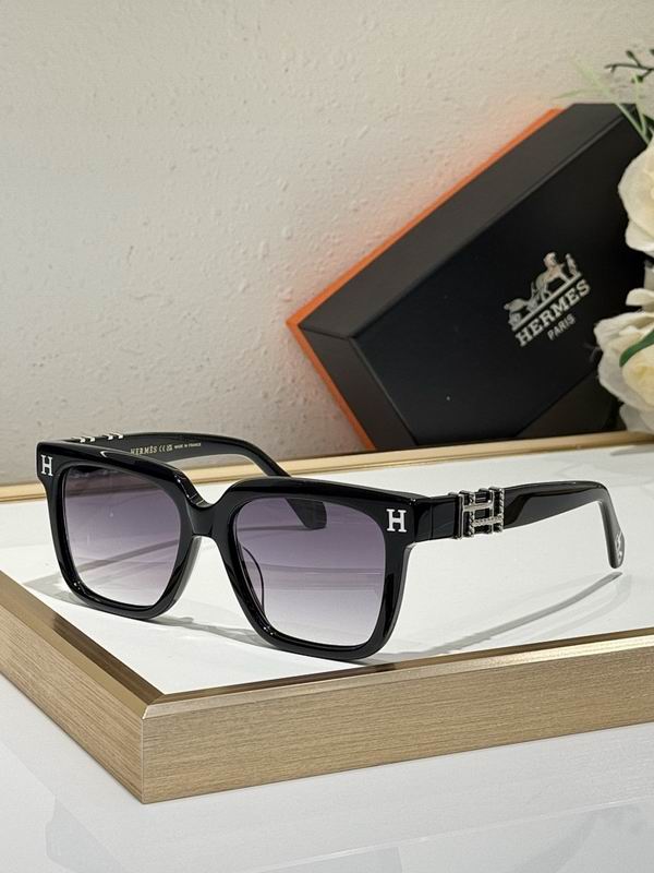 Hermes Glasses smr (127)