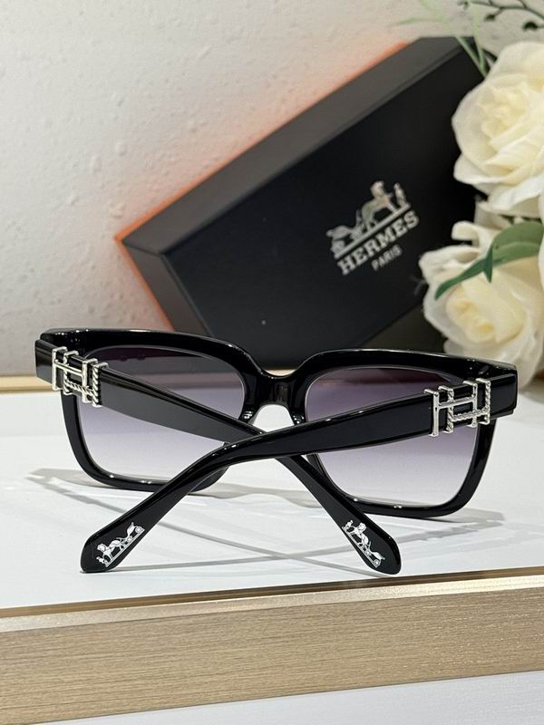 Hermes Glasses smr (129)