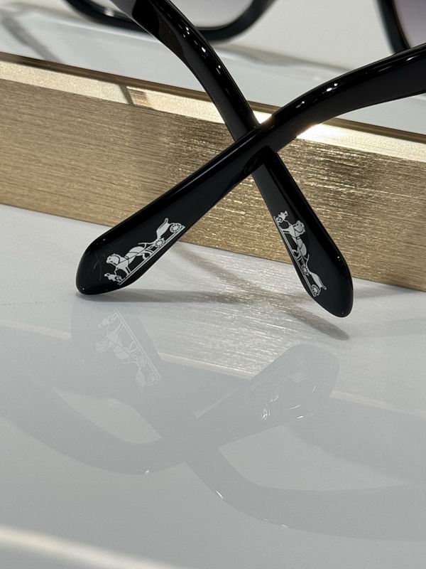 Hermes Glasses smr (130)