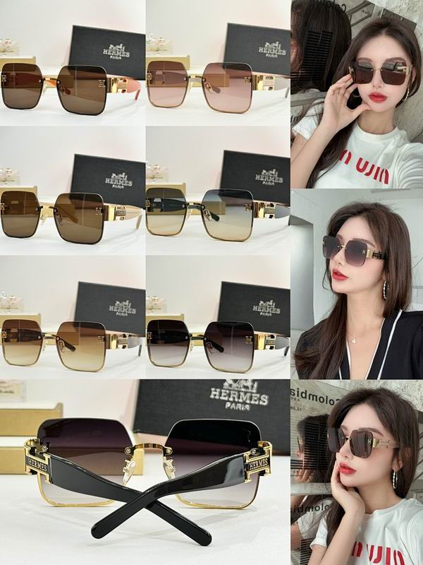Hermes Glasses smr (131)