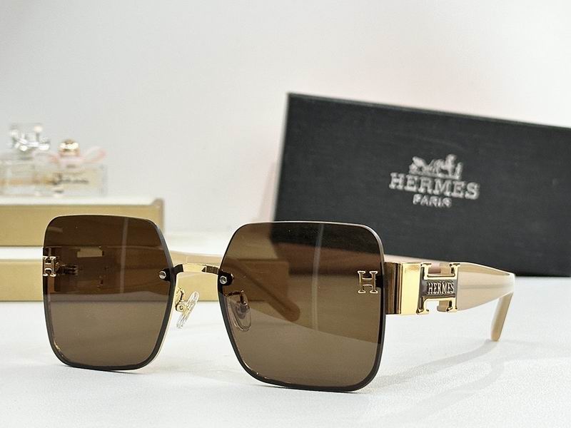 Hermes Glasses smr (132)