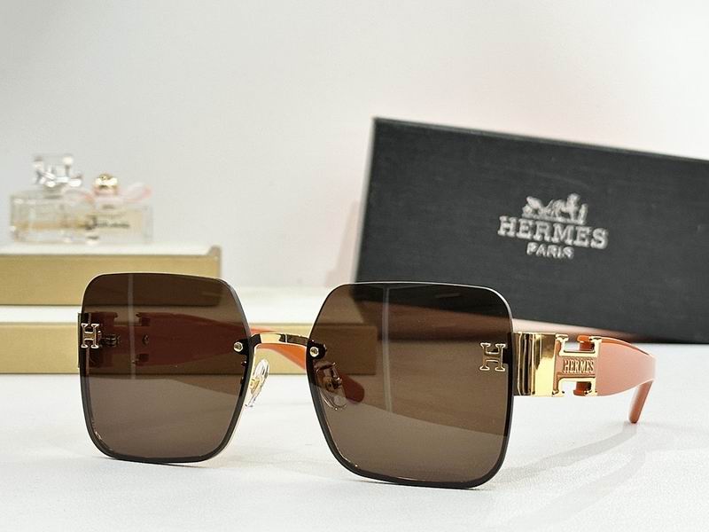 Hermes Glasses smr (133)