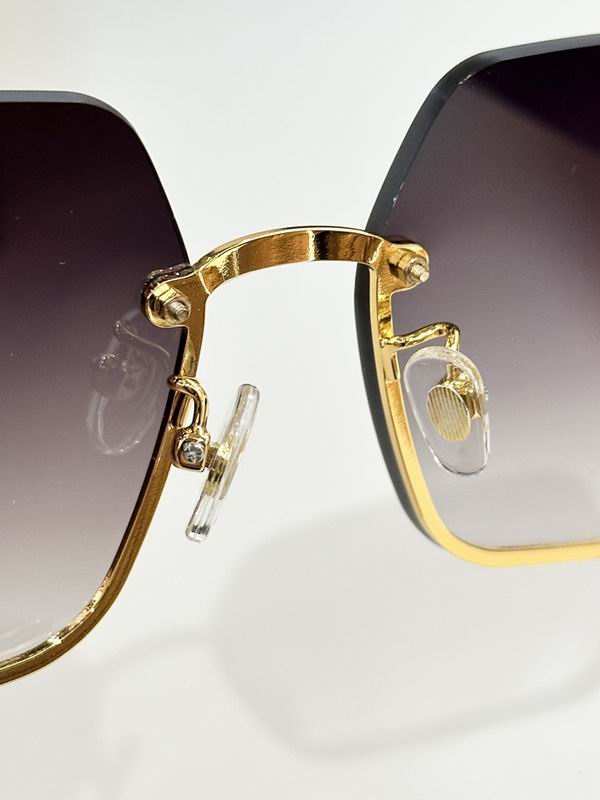 Hermes Glasses smr (140)