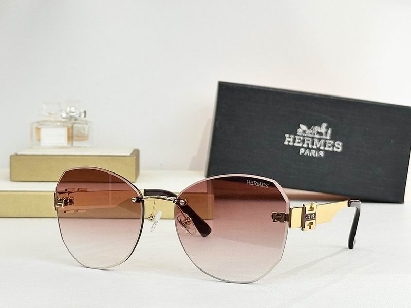 Hermes Glasses smr (145)