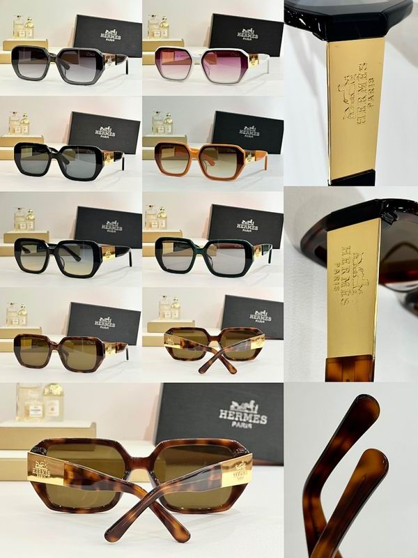 Hermes Glasses smr (151)