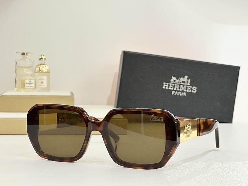 Hermes Glasses smr (155)