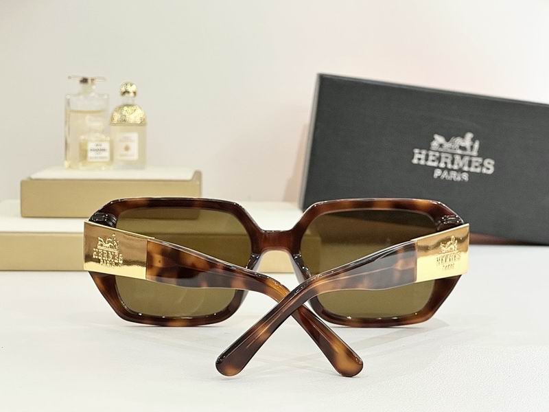 Hermes Glasses smr (160)