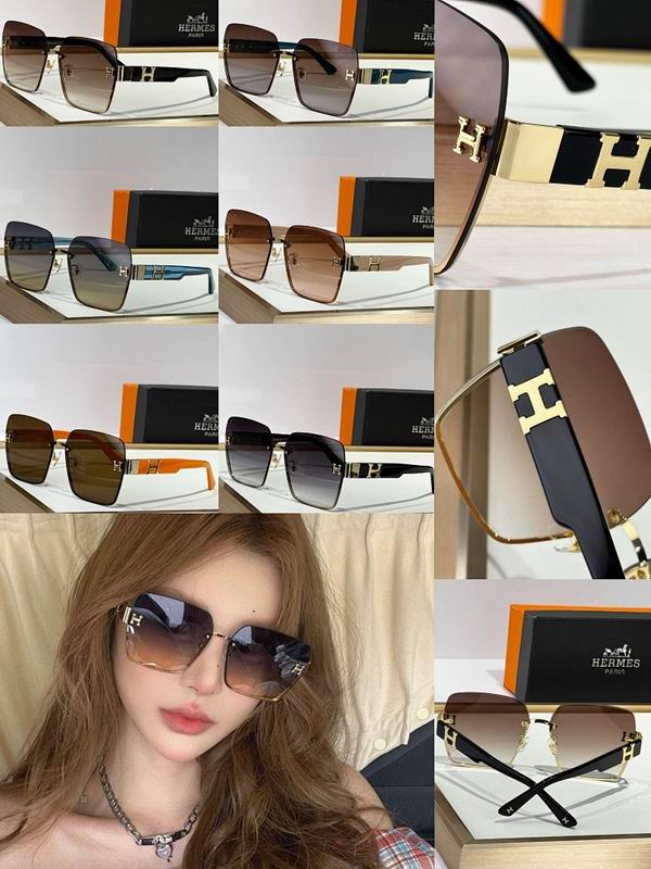 Hermes Glasses smr (161)