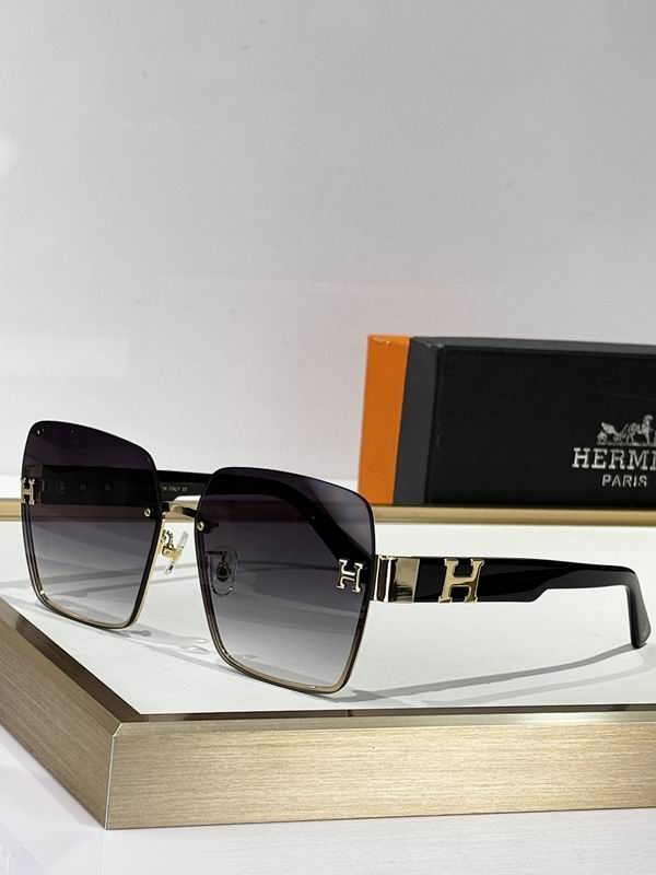 Hermes Glasses smr (162)