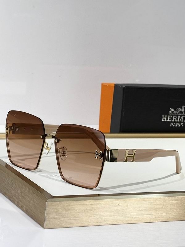 Hermes Glasses smr (164)