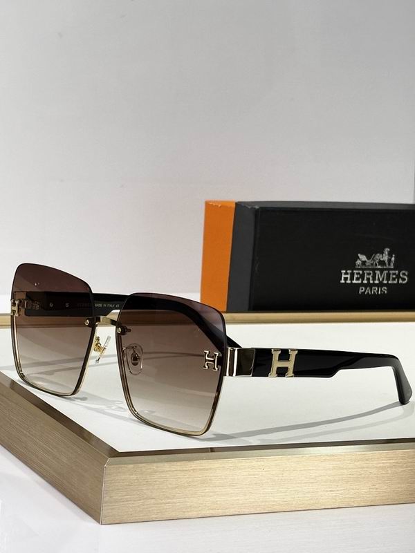 Hermes Glasses smr (167)