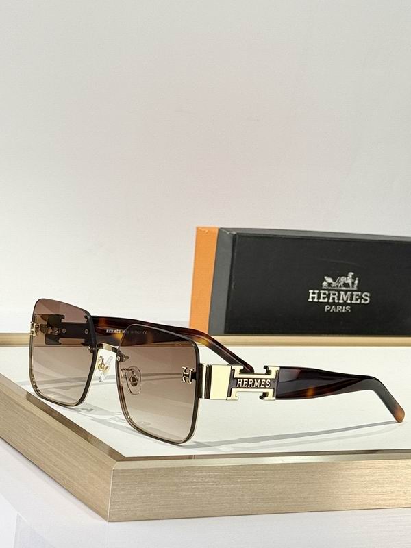 Hermes Glasses smr (28)