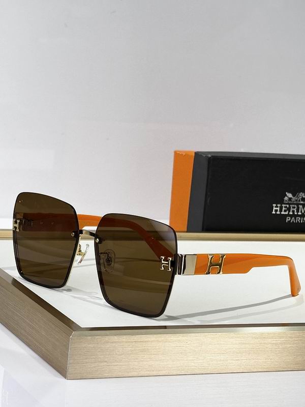 Hermes Glasses smr (3)