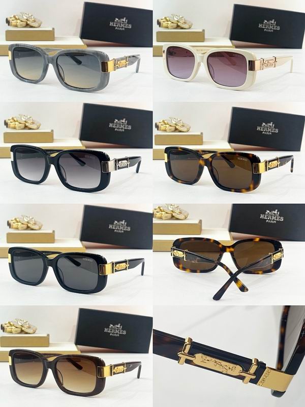 Hermes Glasses smr (31)