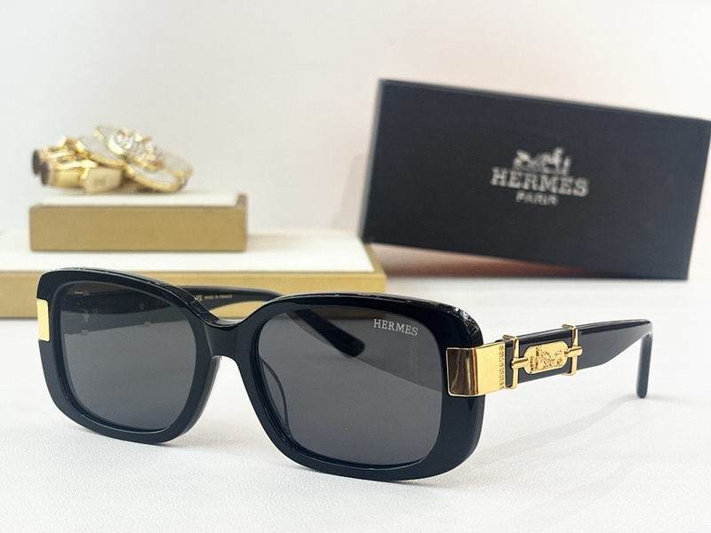 Hermes Glasses smr (32)