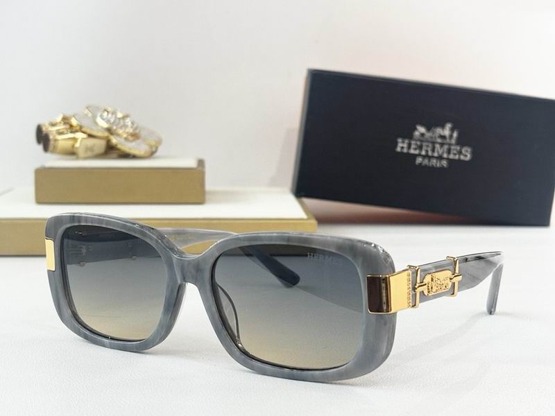 Hermes Glasses smr (33)