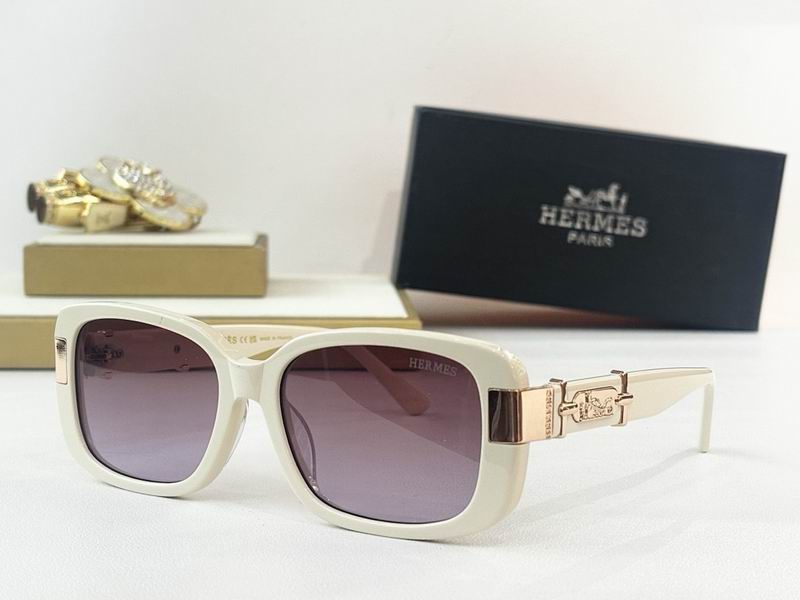 Hermes Glasses smr (34)