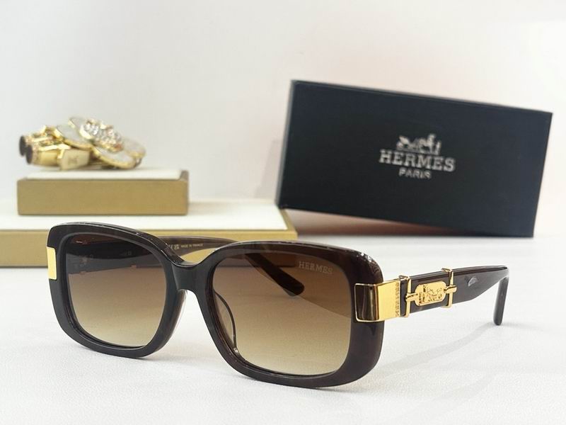 Hermes Glasses smr (35)