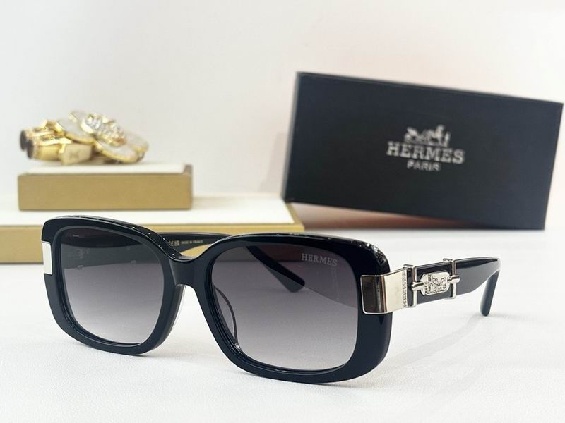 Hermes Glasses smr (36)