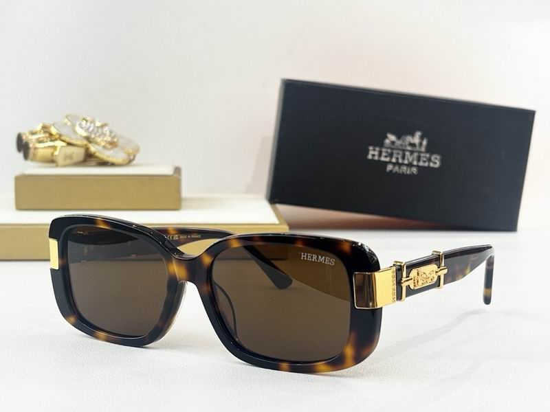 Hermes Glasses smr (37)