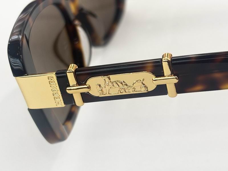 Hermes Glasses smr (39)