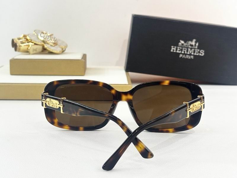 Hermes Glasses smr (40)