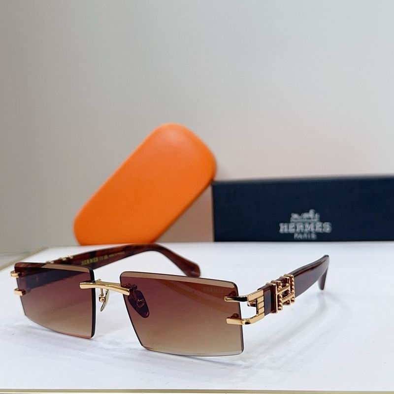 Hermes Glasses smr (43)
