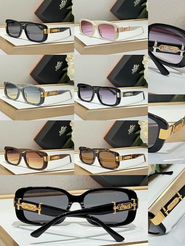 Hermes Glasses smr (61)