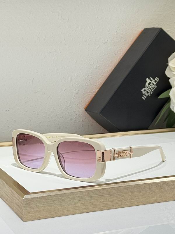 Hermes Glasses smr (62)