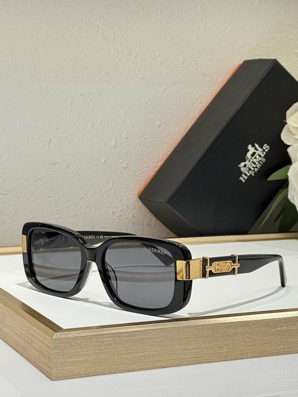Hermes Glasses smr (63)
