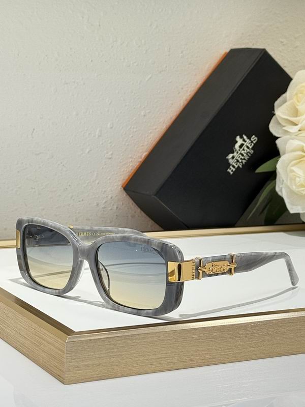 Hermes Glasses smr (64)