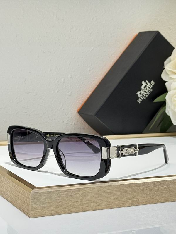 Hermes Glasses smr (65)