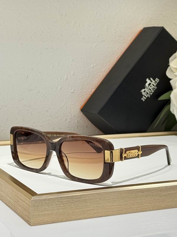 Hermes Glasses smr (66)