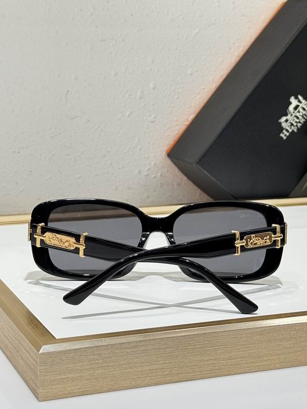 Hermes Glasses smr (69)