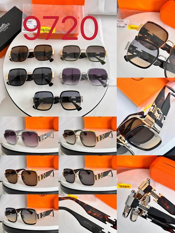 Hermes Glasses smr (71)