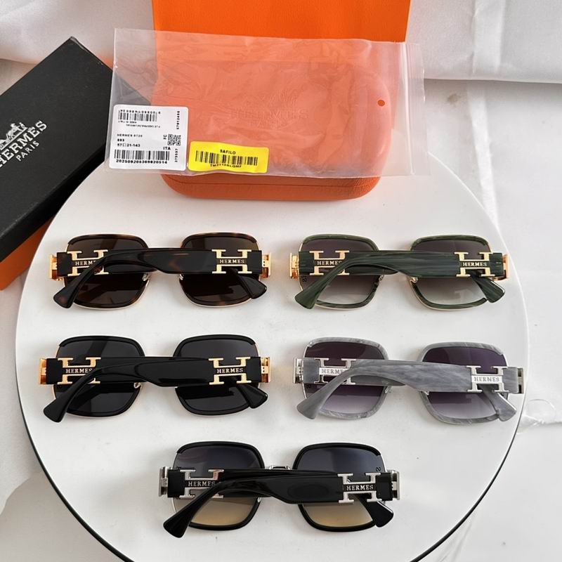 Hermes Glasses smr (79)