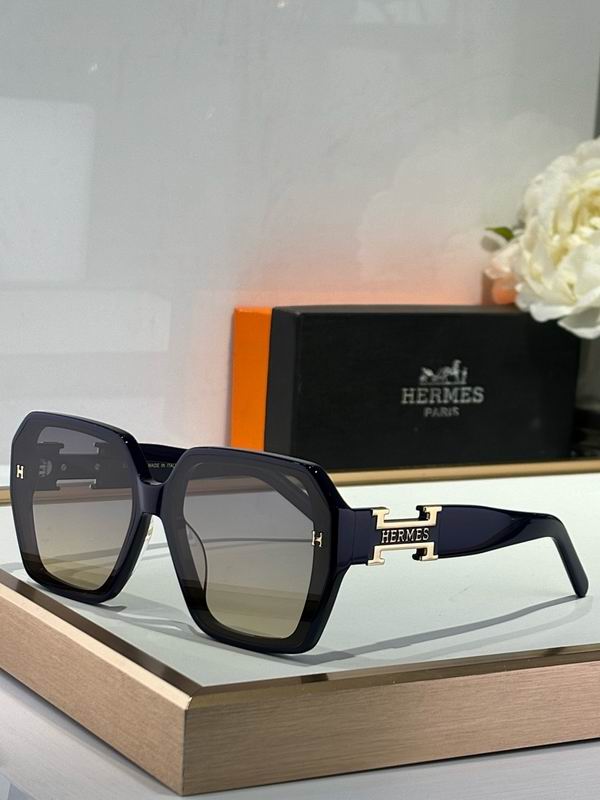 Hermes Glasses smr (83)