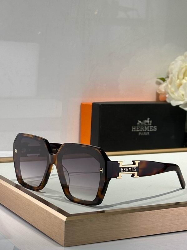 Hermes Glasses smr (84)